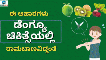 Dengue Treatment: ಈ ಆಹಾರಗಳು ಡೆಂಗ್ಯೂ ಚಿಕಿತ್ಸೆಯಲ್ಲಿ ರಾಮಬಾಣವಿದ್ದಂತೆ