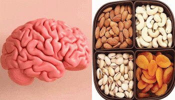 Dry Fruits For Brain Health: ಚುರುಕು ಬುದ್ದಿಗಾಗಿ ಇಲ್ಲಿವೆ ಬೆಸ್ಟ್ ಡ್ರೈ ಫ್ರೂಟ್ಸ್ 