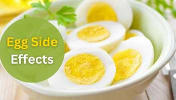 Egg Side Effects: ಈ ಸಮಸ್ಯೆ ಇರುವವರು ಮರೆತೂ ಸಹ ಮೊಟ್ಟೆ ತಿನ್ನಬಾರದು 