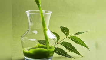 Neem Oil Benefits: ಬೇವಿನ ಎಣ್ಣೆಯ ಬಳಕೆಯ ಬಗ್ಗೆ ನಿಮಗೆಷ್ಟು ತಿಳಿದಿದೆ? ಹಲವು ರೋಗಗಳಿಗೆ ರಾಮಬಾಣ