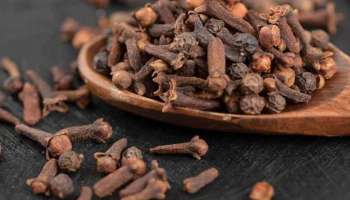 Clove vastu tips : ಲವಂಗದ ಜೊತೆ ಈ ವಸ್ತು ಸುಟ್ಟರೆ ಇಂತಹ ಸಮಸ್ಯೆಗಳಿಗೆ ಸಿಗುತ್ತೆ ಪರಿಹಾರ! 