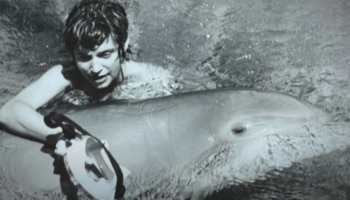 Peter The Dolphin: ಪ್ರೀತಿಯಲ್ಲಿ ಬಿದ್ದ ಡಾಲ್ಫಿನ್, ಬ್ರೇಕ್ ಆಪ್ ನಂತರ ಮಾಡಿದ್ದೇನು ಗೊತ್ತಾ? ಇಲ್ಲಿದೆ ಒಂದು ನಿಜಕ್ಕೂ ಡಿಫರೆಂಟ್ ಲವ್ ಸ್ಟೋರಿ