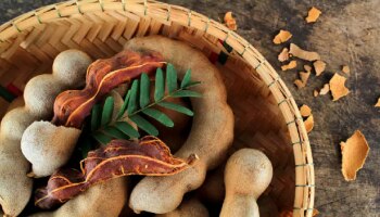 Benefits Of Tamarind - ಇಮ್ಯೂನಿಟಿ ಬೂಸ್ಟ್ ಜೊತೆಗೆ ಬೊಜ್ಜು ಇಳಿಕೆಗೂ ಉತ್ತಮ ಹುಣಸೆ, ಇಲ್ಲಿವೆ ಹುಣಸೆಯ ಅದ್ಭುತ ಪ್ರಯೋಜನಗಳು