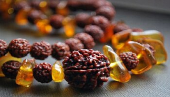 Ek Mukhi Rudraksha Benefits: ಏಕಮುಖಿ ರುದ್ರಾಕ್ಷ ಧಾರಣೆಯಿಂದ ಆಗುವ ಲಾಭಗಳು ನಿಮಗೂ ತಿಳಿದಿರಲಿ