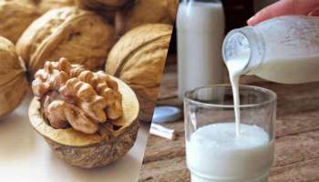 Benefits of Walnut Milk: ಆರೋಗ್ಯದ ಗಣಿ ಈ ವಾಲ್‌ನಟ್ ಮಿಲ್ಕ್..‌ ಇಲ್ಲಿದೆ ತಯಾರಿಸುವ ವಿಧಾನ