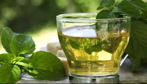 Green Tea Benefits : ಗ್ರೀನ್ ಟೀಯಲ್ಲಿ ಅಡಗಿದೆ  ಉತ್ತಮ ಪೋಷಕಾಂಶ.. ಇಂದಿನಿಂದಲೇ ಅಭ್ಯಾಸಿಸಿಕೊಳ್ಳಿ..!