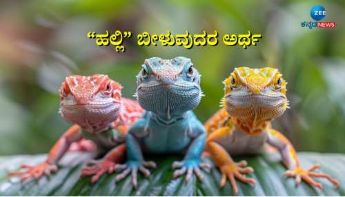 ಹಲ್ಲಿ ಬೀಳುವುದರ ಅರ್ಥವೇನು? ದೇಹದ ಈ ಭಾಗಗಳ ಮೇಲೆ ಹಲ್ಲಿ ಬಿದ್ದರೆ ಕೈ ಸೇರುತ್ತೆ ಅಪಾರ ಸಂಪತ್ತು... !