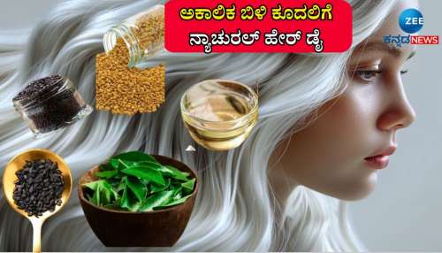 ಕಪ್ಪು ಜೀರಿಗೆ, ಸಾಸಿವೆಯ ನ್ಯಾಚುರಲ್ ಹೇರ್ ಡೈ ಅನ್ನು ಮಹಿಳೆಯರಷ್ಟೇ ಅಲ್ಲ, ಪುರುಷರೂ ಬಳಸಬಹುದು! 