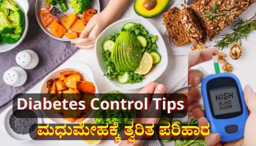 ರಕ್ತದಲ್ಲಿನ ಸಕ್ಕರೆ ಮಟ್ಟ 300ರ ಗಡಿ ದಾಟಿದ್ರೂ ಕೂಡಲೇ ನಿಯಂತ್ರಿಸಬಲ್ಲ ಶುಗರ್ ಕಂಟ್ರೋಲ್ ಆಹಾರಗಳಿವು 