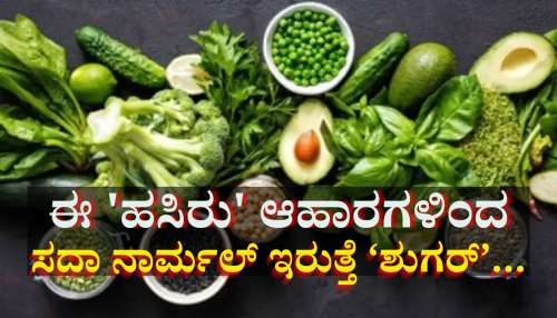 ಪಥ್ಯ ಬೇಡ... ಈ ಐದು ಹಸಿರು ಆಹಾರಗಳಿಂದ ಹೈ ಶುಗರ್ ಸಹ ಫುಲ್ ನಾರ್ಮಲ್ ಆಗುತ್ತೆ... 