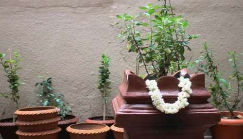 Tulsi Vastu: ತುಳಸಿಕಟ್ಟೆ ಹತ್ತಿರ ಈ ವಸ್ತುವನ್ನಿಟ್ಟರೆ ಹೆಚ್ಚಾಗುತ್ತೆ ಸಾಲ! ದಾರಿದ್ರ್ಯ ಹೆಗಲೇರಿ ಕೋಟ್ಯಾಧಿಪತಿಯಾಗಿದ್ದರೂ ದುಡ್ಡೆಲ್ಲಾ ಕರಗಿ ಹೋಗುವುದು! 