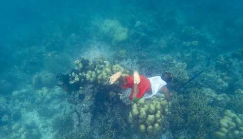 ಭೂಮಿಯ ಮೇಲಲ್ಲ ನೀರಿನ ಒಳಗೆ ಈ ಜನರ ವಾಸ! ಉಸಿರು ಬಿಗಿದಿಟ್ಟುಕೊಂಡು ಜೀವನ ನಡೆಸುವ ವಿಚಿತ್ರ ಬುಡಕಟ್ಟು ಇದು