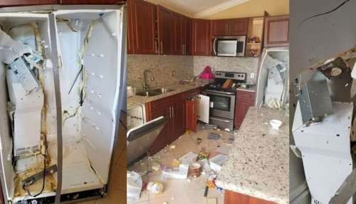 ಬಳಸುವಾಗ ಈ ತಪ್ಪು ಮಾಡಿದ್ರೆ ಫ್ರಿಡ್ಜ್ ಬಾಂಬ್‌ನಂತೆ ಸ್ಫೋಟಗೊಳ್ಳೋದು ಫಿಕ್ಸ್! ಎಚ್ಚರ..