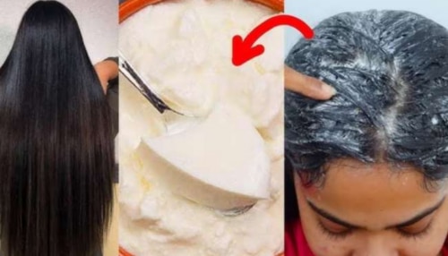 ಮೊಸರಿಗೆ ಈ ಪುಡಿ ಬೆರೆಸಿ ಹಚ್ಚಿದ್ರೆ ಬಿಳಿಕೂದಲು ಶಾಶ್ವತವಾಗಿ ಕಪ್ಪಾಗುತ್ತವೆ! ಹೇರ್‌ ಕಲರ್‌ ಬೇಡವೇ ಬೇಡ.. 