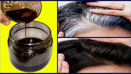 ತೆಂಗಿನ ಎಣ್ಣೆಗೆ ಈ ಪುಡಿಯನ್ನ ಬೆರೆಸಿ ಹಚ್ಚಿದ್ರೆ ಶಾಶ್ವತವಾಗಿ ಕಪ್ಪಾಗುತ್ತವೆ ಬಿಳಿ ಕೂದಲು! ಮತ್ತೆಂದೂ ಬೆಳ್ಳಗಾಗಲ್ಲ.. 