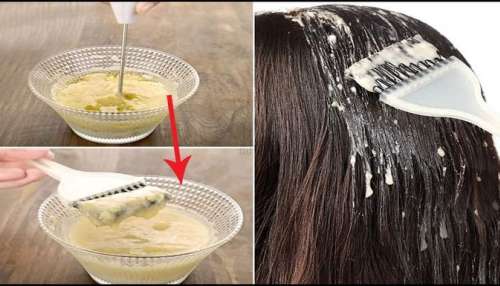 ಹೇರ್‌ ಕಲರ್‌ ಬದಲು.. ಮೊಸರಿಗೆ ಈ ಪುಡಿ ಬೆರೆಸಿ ಹಚ್ಚಿದ್ರೆ ಬಿಳಿಕೂದಲು ಶಾಶ್ವತ್ವಾಗಿ ಕಪ್ಪಾಗುತ್ತವೆ!   