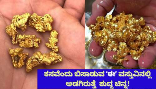ಕಸವೆಂದು ಬಿಸಾಡುವ ʻಈʼ ವಸ್ತುವಿನಲ್ಲಿ ಅಡಗಿರುತ್ತೆ ಚಿನ್ನ! ತ್ಯಾಜ್ಯವೆಂದು ಹೊರಹಾಕುವ ಇದರಲ್ಲಿ ಇರುತ್ತೆ ಶುದ್ದ ಬಂಗಾರ..