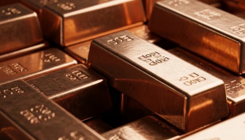 ಚಿನ್ನಕ್ಕೆ ಸೆಡ್ಡು ಹೊಡೆದು ನಿಂತ ಅಪರೂಪದ ಲೋಹ! ಬಂಗಾರದ ಜಾಗಕ್ಕೆ ಬಂದೆ ಬಿಡ್ತು ಪರ್ಯಾಯ