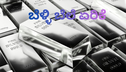 ಬೆಳ್ಳಿ ಬೆಲೆಯಲ್ಲಿ ಇತಿಹಾಸ ಸೃಷ್ಟಿ ದಿಢೀರ್‌ ಏರಿಕೆ ಕಂಡ ಬಡವರ ಬಂಗಾರವಾದ ಬೆಳ್ಳಿ ಬೆಲೆ!