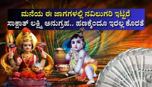ಮನೆಯ ಈ ಜಾಗಗಳಲ್ಲಿ ಕೃಷ್ಣ ಪ್ರಿಯ ನವಿಲುಗರಿ ಇಟ್ಟರೆ ಸಾಕ್ಷಾತ್‌ ಲಕ್ಷ್ಮಿ ಅನುಗ್ರಹ.. ಹಣಕ್ಕೆಂದೂ ಇರಲ್ಲ ಕೊರತೆ 