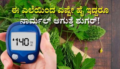 ಈ ಎಲೆಯಿಂದ ಎಷ್ಟೇ ಹೈ ಇದ್ದರೂ ನಾರ್ಮಲ್‌ ಆಗುತ್ತೆ ಶುಗರ್!‌ ಮಧುಮೇಹಿಗಳಿಗೆ ಹೇಳಿಮಾಡಿಸಿದಂತ ಸಂಜೀವಿನಿ ಇದು..