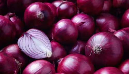 ಈರುಳ್ಳಿಗಳನ್ನು ಕಟ್‌ ಮಾಡುವಾಗ ಕಣ್ಣೀರು ಬರಬಾರದು ಅಂದ್ರೆ ಏನು ಮಾಡಬೇಕು.. ಈ ಎರಡೇ 2 ಅನ್ನು ನೀವು ಮಾಡಿದ್ರೆ ಸಾಕು..!  