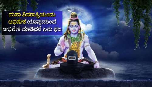 ಮಹಾ ಶಿವರಾತ್ರಿ ದಿನ ಶಿವಲಿಂಗಕ್ಕೆ ಯಾವುದರಿಂದ ಅಭಿಷೇಕ ಮಾಡಿದರೆ ಏನು ಫಲ..