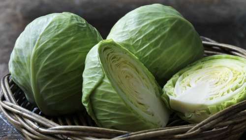 ಆರೋಗ್ಯದ ಗಣಿಯಾದ್ರೂ ಎಲೆಕೋಸು ಈ ರೀತಿಯ ಜನಕ್ಕೆ ವಿಷಕ್ಕೆ ಸಮಾನ.. ಅಪ್ಪಿ ತಪ್ಪಿ ತಿಂದ್ರೂ ಜೀವಕ್ಕೆ ಅಪಾಯ ಫಿಕ್ಸ್‌ 