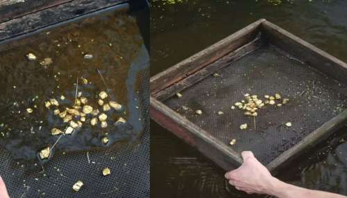 ಈ ಎರಡು ಜಾಗಗಳಲ್ಲಿ ಬಾಚಿದಷ್ಟು ಉಚಿತವಾಗಿ ಸಿಗುತ್ತೆ ಚಿನ್ನ! ನದಿಯ ನೀರಿನಲ್ಲಿ ಹರಿದು ಬರುತ್ತೆ ರಾಶಿ ರಾಶಿ ಬಂಗಾರ..