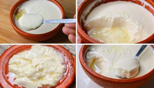 ಮಧುಮೇಹಕ್ಕೆ ಮೊಸರು ಸಂಜೀವಿನಿ! ಔಷಧಿಯಿಲ್ಲದೆ ಶುಗರ್‌ ನಿಯಂತ್ರಿಸಲು ಹೀಗೆ ತಿನ್ನಿ..