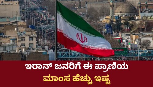 ಇರಾನ್‌ ಜನರಿಗೆ ಯಾವ ಪ್ರಾಣಿಯ ಮಾಂಸ ಹೆಚ್ಚು ಇಷ್ಟ ಗೊತ್ತೇ? 