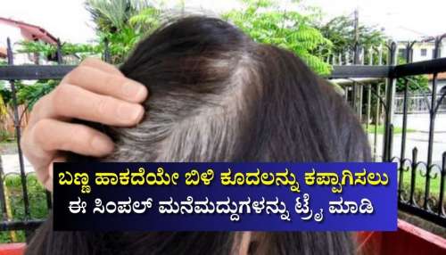 ಹೆನ್ನಾ, ಹೇರ್‌ ಡೈ ಬೇಕಿಲ್ಲ.. ಬಣ್ಣ ಹಾಕದೆಯೇ ಬೆಳ್ಳಗಿರುವ ಕೂದಲನ್ನು ಕಪ್ಪಾಗಿಸಲು ಇವುಗಳನ್ನು ಬಳಸಿ ನೋಡಿ