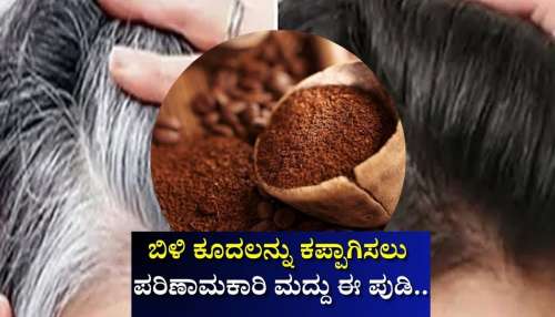 ಬಿಳಿ ಕೂದಲನ್ನು ಕಪ್ಪಾಗಿಸಲು ಪರಿಣಾಮಕಾರಿ ಮದ್ದು ಈ ಪುಡಿ.. ಜಸ್ಟ್‌ ನೀರಿನಲ್ಲಿ ಬೆರೆಸಿ ಹಚ್ಚಿದ್ರೆ ಸಾಕು!