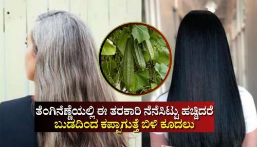 ತೆಂಗಿನೆಣ್ಣೆಯಲ್ಲಿ ಈ ತರಕಾರಿ ನೆನೆಸಿಟ್ಟು ಹಚ್ಚಿದರೆ ನೈಸರ್ಗಿಕವಾಗಿ ಬುಡದಿಂದ ಕಪ್ಪಾಗುತ್ತೆ ಬಿಳಿ ಕೂದಲು