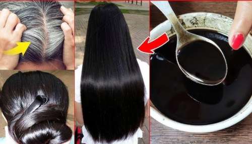 ತೆಂಗಿನೆಣ್ಣೆಯಲ್ಲಿ ಈ ಪುಟ್ಟ ಕಾಳು ಬೆರೆಸಿ ಹಚ್ಚಿದ್ರೆ ಕಡು ಕಪ್ಪಾಗುತ್ತವೆ ಬಿಳಿಕೂದಲು! ಹೇರ್‌ ಡೈ ಅವಶ್ಯಕತೆಯೇ ಇರಲ್ಲ..