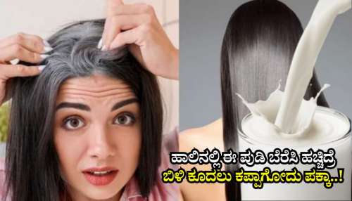 ಹೇರ್‌ ಡೈ ಬೇಡ.. ಹಾಲಿನಲ್ಲಿ ಈ ಪುಡಿ ಬೆರೆಸಿ ಹಚ್ಚಿದ್ರೆ ಕೆಲವೇ ಕ್ಷಣದಲ್ಲಿ ಕಪ್ಪಾಗುತ್ತೆ ಬಿಳಿ ಕೂದಲು.. ನೀವೂ ಒಮ್ಮೆ ಟ್ರೈ ಮಾಡಿ