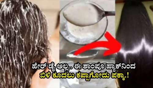 ಹೇರ್‌ ಡೈ ಅಲ್ಲ.. ಈ ಶಾಂಪೂ ಹ್ಯಾಕ್‌ ಅಳವಡಿಸಿಕೊಂಡರೆ ನ್ಯಾಚುರಲ್‌ ಆಗಿ ಕಪ್ಪಾಗುತ್ತೆ ಬಿಳಿ ಕೂದಲು