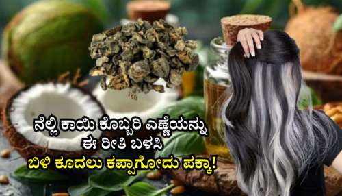 ನೆಲ್ಲಿ ಕಾಯಿ ಕೊಬ್ಬರಿ ಎಣ್ಣೆಯನ್ನು ಈ ರೀತಿ ಬಳಸಿದರೆ ನೈಸರ್ಗಿಕವಾಗಿ ಬಿಳಿ ಕೂದಲು ಕಪ್ಪಾಗೋದು ಪಕ್ಕಾ!