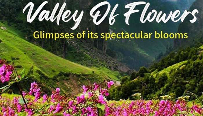 Valley Of Flowers: ವರ್ಷಕ್ಕೊಮ್ಮೆ ಕಂಗೊಳಿಸುವ ಹೂವಿನ ಕಣಿವೆ: ನೀವೂ ಭೇಟಿ ನೀಡಿ