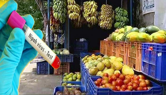 ನಿಪಾ ವೈರಸ್: ಹಣ್ಣು-ತರಕಾರಿಗಳ ರಫ್ತಿಗೆ ನಿಷೇಧ ನಿಪಾ ವೈರಸ್: ಹಣ್ಣು-ತರಕಾರಿಗಳ ರಫ್ತಿಗೆ ನಿಷೇಧ