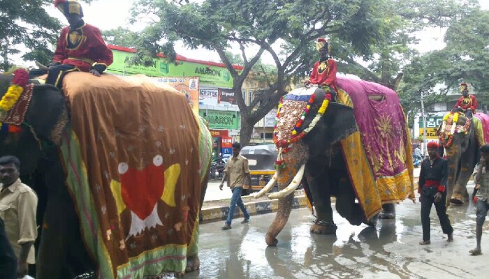 ನಾಡಹಬ್ಬ ದಸರಾ ಗಜಪಯಣಕ್ಕೆ ಮುಹೂರ್ತ ಫಿಕ್ಸ್ ನಾಡಹಬ್ಬ ದಸರಾ ಗಜಪಯಣಕ್ಕೆ ಮುಹೂರ್ತ ಫಿಕ್ಸ್