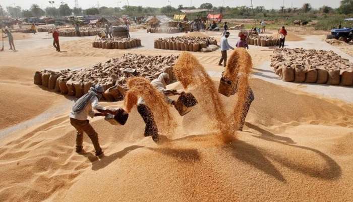 ರೈತರ ಪ್ರತಿಭಟನೆಗೆ ಬೆದರಿದ ಮೋದಿ ಸರ್ಕಾರ, ಕನಿಷ್ಠ ಬೆಂಬಲ ಬೆಲೆ ಹೆಚ್ಚಳ ರೈತರ ಪ್ರತಿಭಟನೆಗೆ ಬೆದರಿದ ಮೋದಿ ಸರ್ಕಾರ, ಕನಿಷ್ಠ ಬೆಂಬಲ ಬೆಲೆ ಹೆಚ್ಚಳ