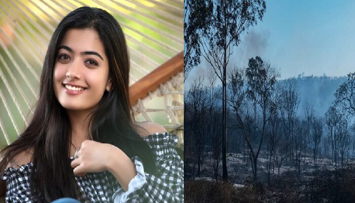 ಬಂಡೀಪುರದ ಕಾಡ್ಗಿಚ್ಚು ಕಂಡು ರಶ್ಮಿಕಾ ಮಂದಣ್ಣ ಹೇಳಿದ್ದೇನು? ಬಂಡೀಪುರದ ಕಾಡ್ಗಿಚ್ಚು ಕಂಡು ರಶ್ಮಿಕಾ ಮಂದಣ್ಣ ಹೇಳಿದ್ದೇನು?