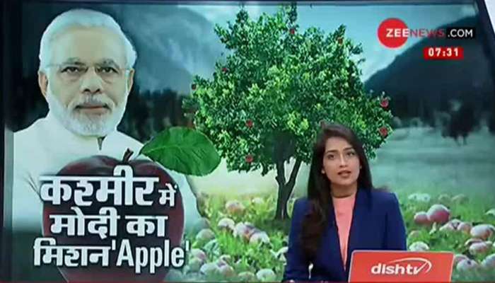 ಪ್ರಧಾನಿ ಮೋದಿ ಮಿಷನ್ 'APPLE', ಸೇಬಿನಿಂದ ಕಾಶ್ಮೀರಿಗಳ ಜೇಬು ತುಂಬಿಸಲು ಸರ್ಕಾರದ ಪ್ಲಾನ್! ಪ್ರಧಾನಿ ಮೋದಿ ಮಿಷನ್ 'APPLE', ಸೇಬಿನಿಂದ ಕಾಶ್ಮೀರಿಗಳ ಜೇಬು ತುಂಬಿಸಲು ಸರ್ಕಾರದ ಪ್ಲಾನ್!