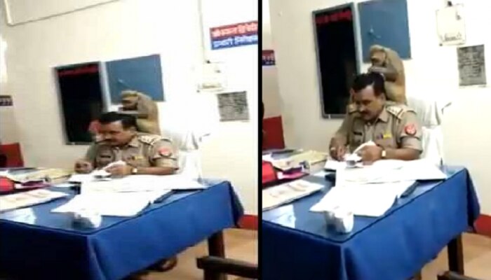Viral Video:ಪೊಲೀಸ್ ಅಧಿಕಾರಿ ಭುಜದ ಮೇಲೆ ಕುಳಿತು ತಲೆ ಕ್ಲೀನ್ ಮಾಡಿದ ಕೋತಿ! 