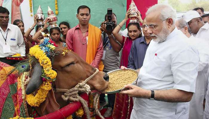 ಜಾನುವಾರು ಗಣತಿ: ಮೋದಿ ಸರ್ಕಾರದಲ್ಲಿ ಹಸುಗಳ ಸಂಖ್ಯೆ 18% ಹೆಚ್ಚಳ ಜಾನುವಾರು ಗಣತಿ: ಮೋದಿ ಸರ್ಕಾರದಲ್ಲಿ ಹಸುಗಳ ಸಂಖ್ಯೆ 18% ಹೆಚ್ಚಳ
