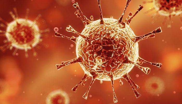 Coronavirus: ಕೇರಳದಲ್ಲಿ ಕರೋನಾ ವೈರಸ್ ನ ಎರಡನೇ ಪ್ರಕರಣ ಪತ್ತೆ Coronavirus: ಕೇರಳದಲ್ಲಿ ಕರೋನಾ ವೈರಸ್ ನ ಎರಡನೇ ಪ್ರಕರಣ ಪತ್ತೆ