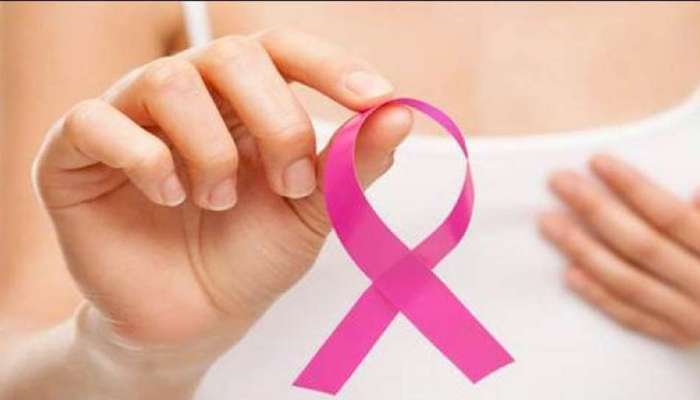 World Cancer Day: ಇವುಗಳ ಬಗ್ಗೆ ಗಮನ ಹರಿಸಿದರೆ ಕ್ಯಾನ್ಸರ್ ನಿಮ್ಮ ಹತ್ತಿರವೂ ಸುಳಿಯಲ್ಲ World Cancer Day: ಇವುಗಳ ಬಗ್ಗೆ ಗಮನ ಹರಿಸಿದರೆ ಕ್ಯಾನ್ಸರ್ ನಿಮ್ಮ ಹತ್ತಿರವೂ ಸುಳಿಯಲ್ಲ