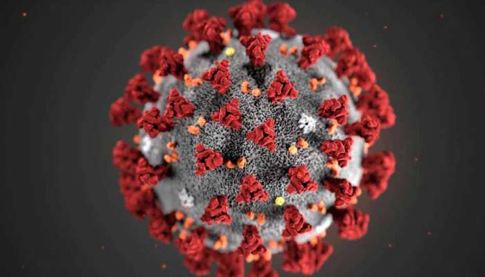 ಬಣ್ಣ-ರೂಪ ಬದಲಾಯಿಸಿ ದಾಳಿ ಇಡುತ್ತಂತೆ ಈ ಬಹುರೂಪಿ Coronavirus ಬಣ್ಣ-ರೂಪ ಬದಲಾಯಿಸಿ ದಾಳಿ ಇಡುತ್ತಂತೆ ಈ ಬಹುರೂಪಿ Coronavirus