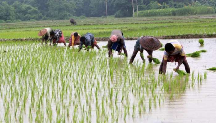 PM-Kisan ಯೋಜನೆಯ ಲಾಭ ಪಡೆಯಲು ಇಂದೇ ಮಾಡಿ ಈ ಕೆಲಸ title=